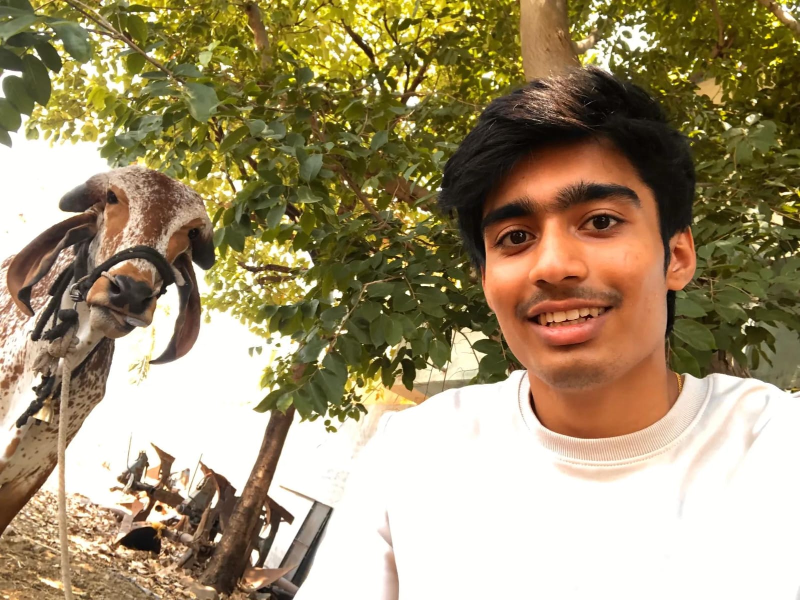 S. Nayan Talekar