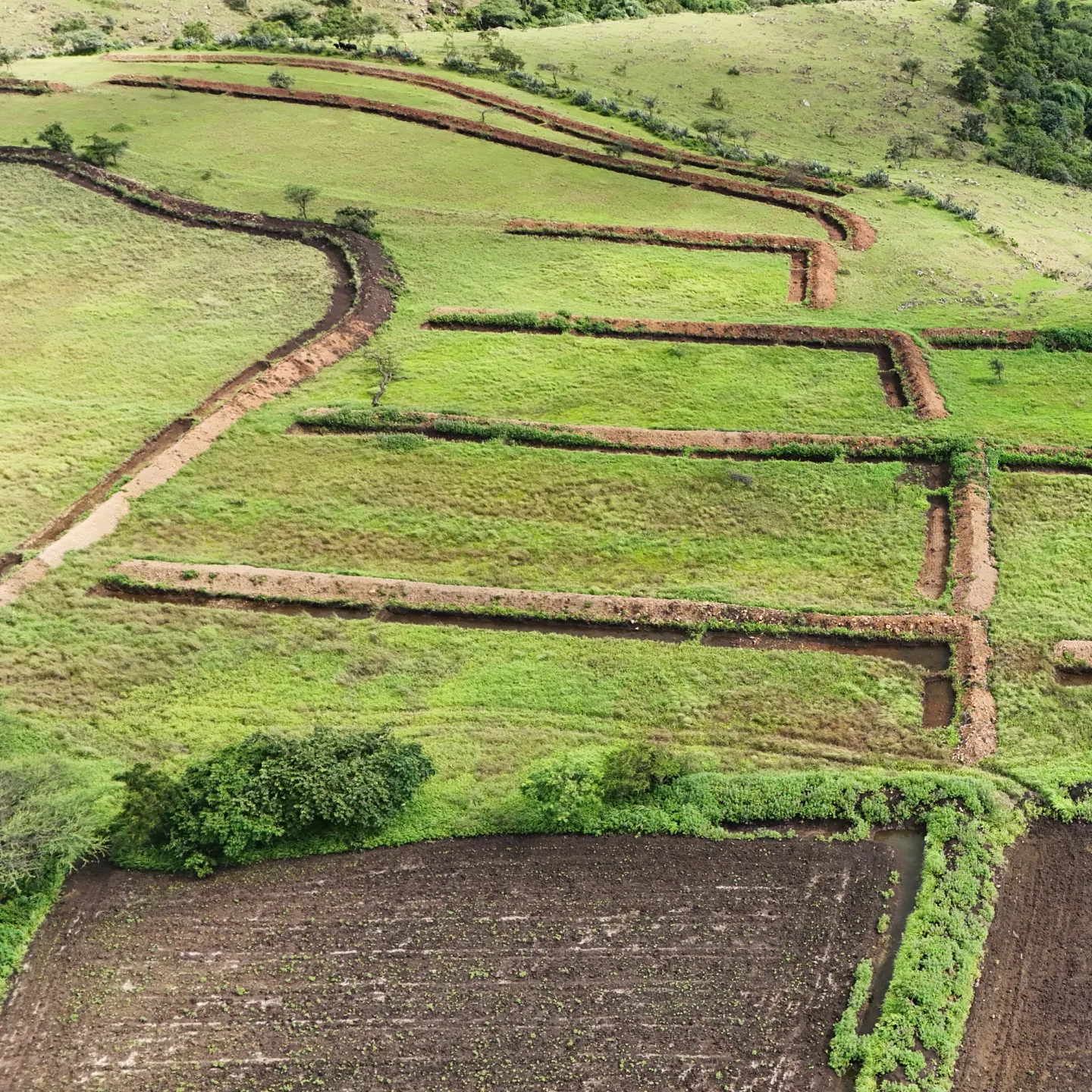 Watershed Development